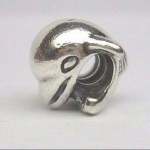 Pandora dolphin charm